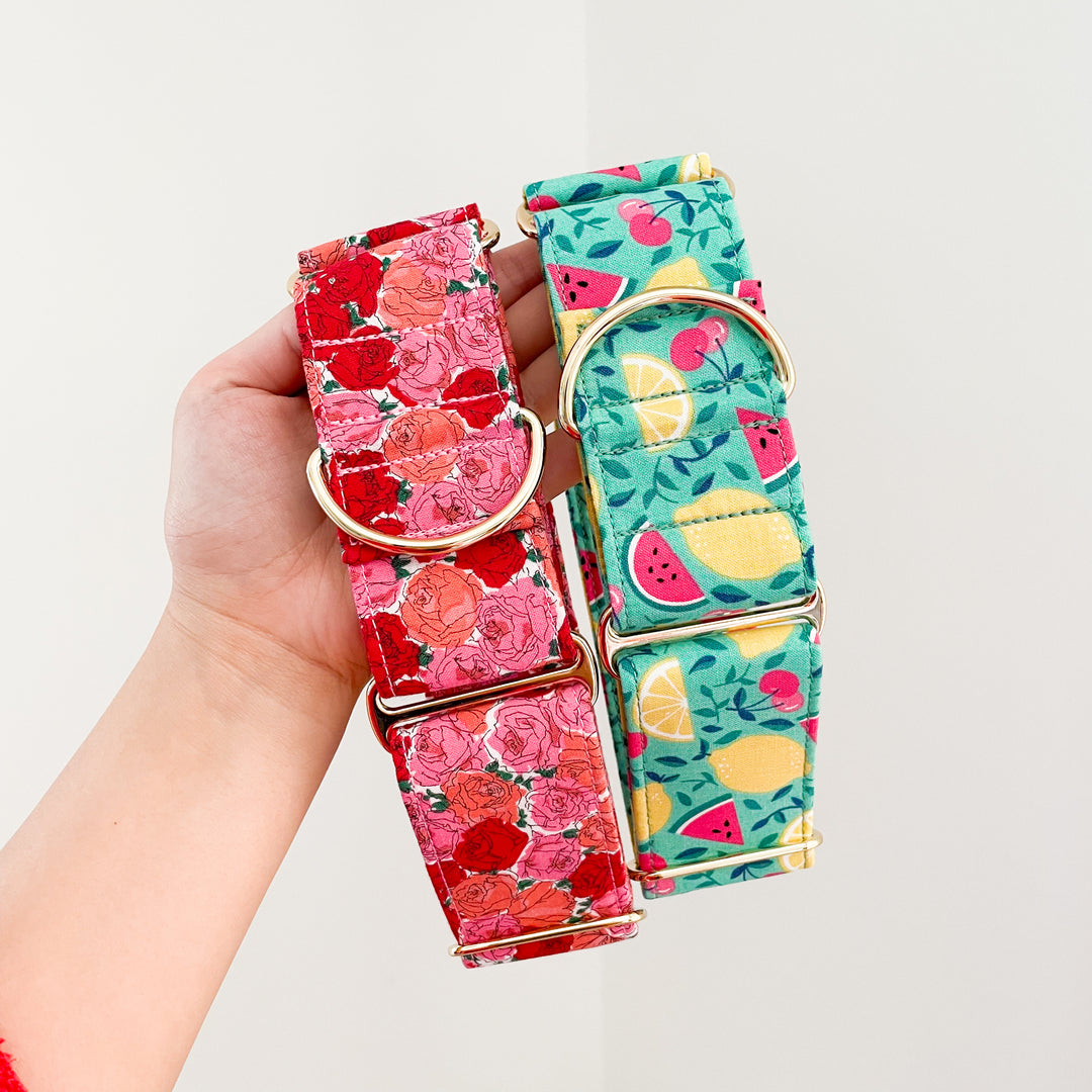greyhound collars