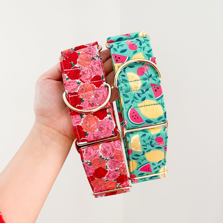 greyhound collars