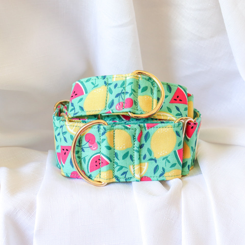 Greyhound Collars