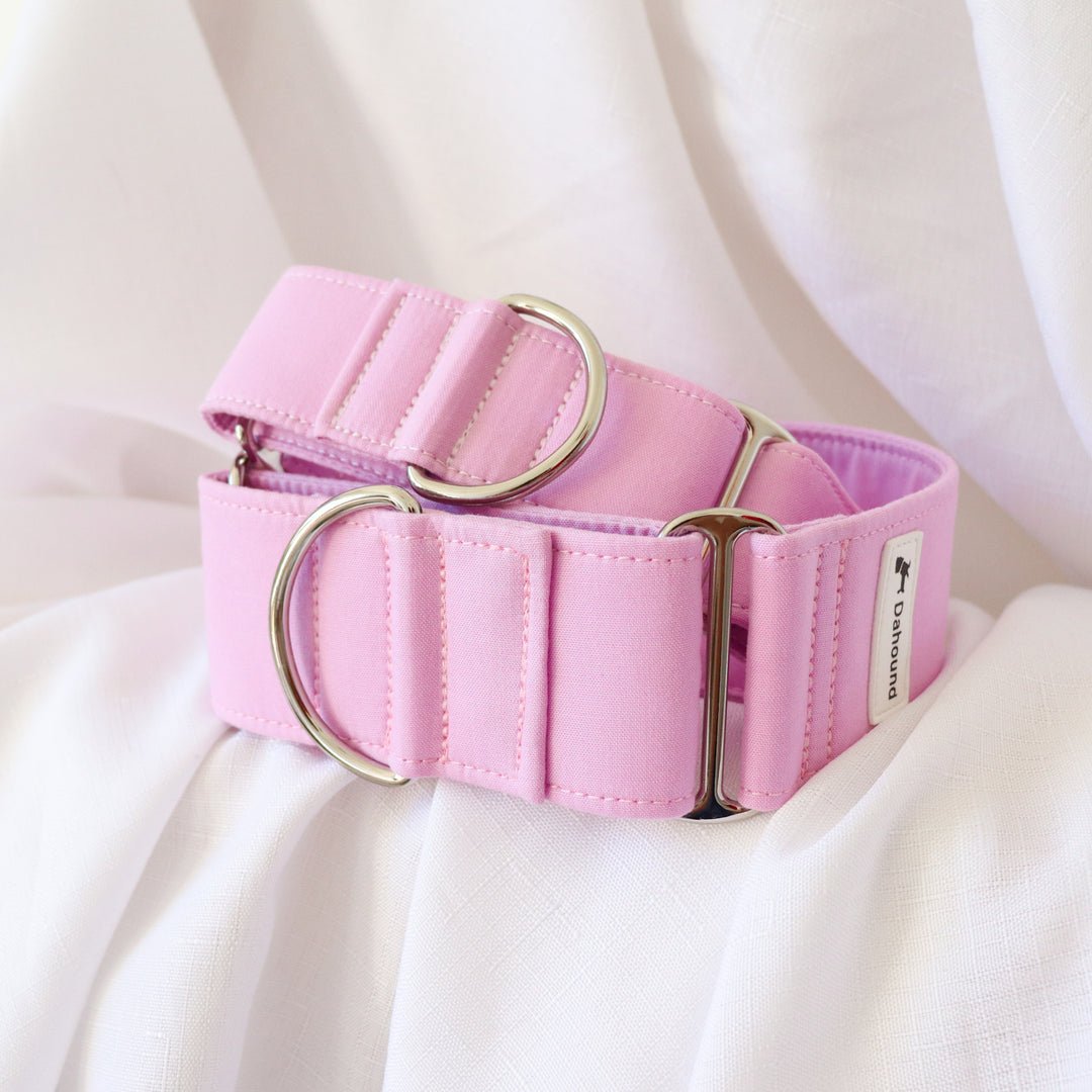 martingale dog collar