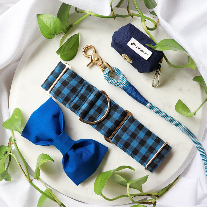 greyhound collars