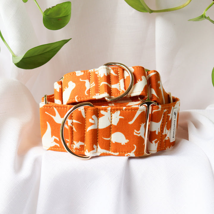Wide Martingale Collar | Dino (Soft Cotton)