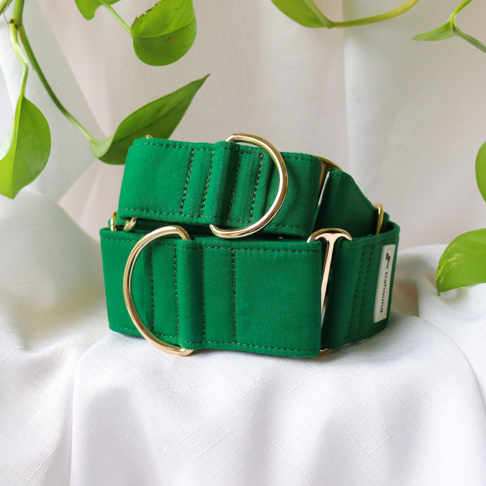 Forest green dog clearance collar