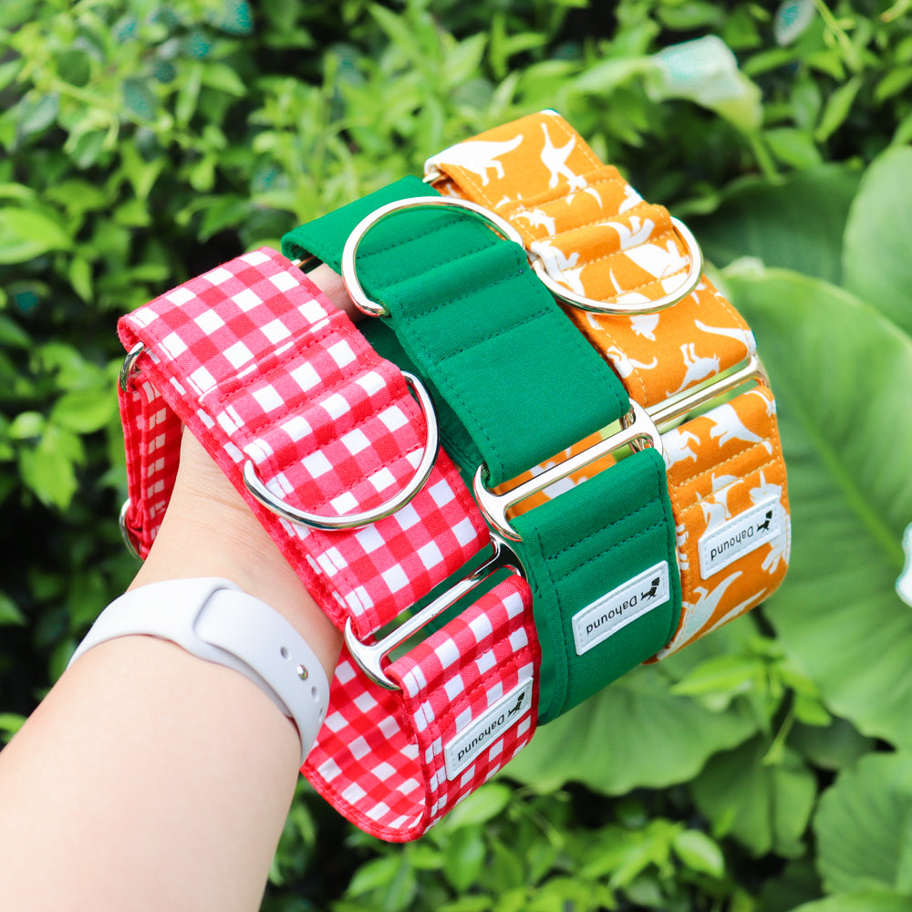 Wide Martingale Collar | Dino (Soft Cotton)