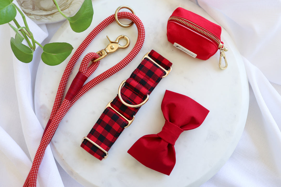 Wide Martingale Collar | Red & Black Gingham (Soft Cotton)