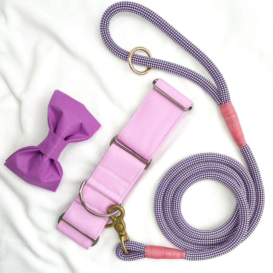Wide Martingale Collar | French Lilac (Soft Cotton)