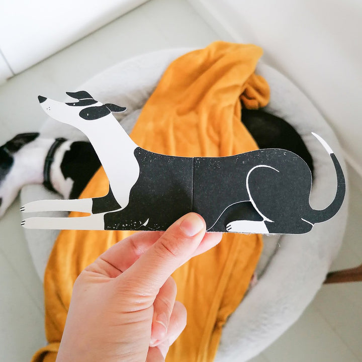 Black and white greyhound greeting cards