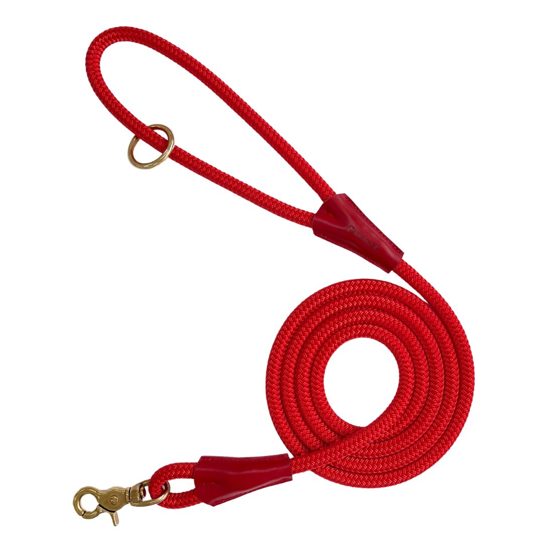 Premium Dog Leashes With Brass Hardware