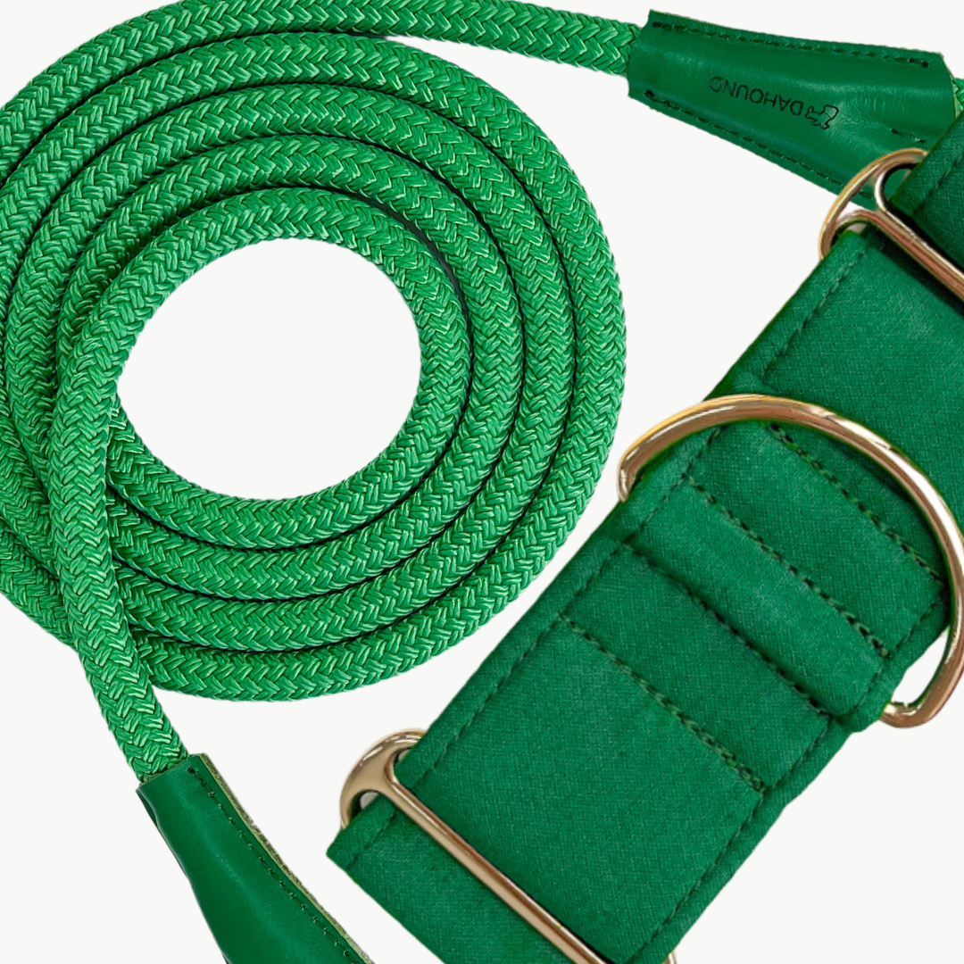 SOLID COLOUR MARTINGALE COLLAR BUNDLE
