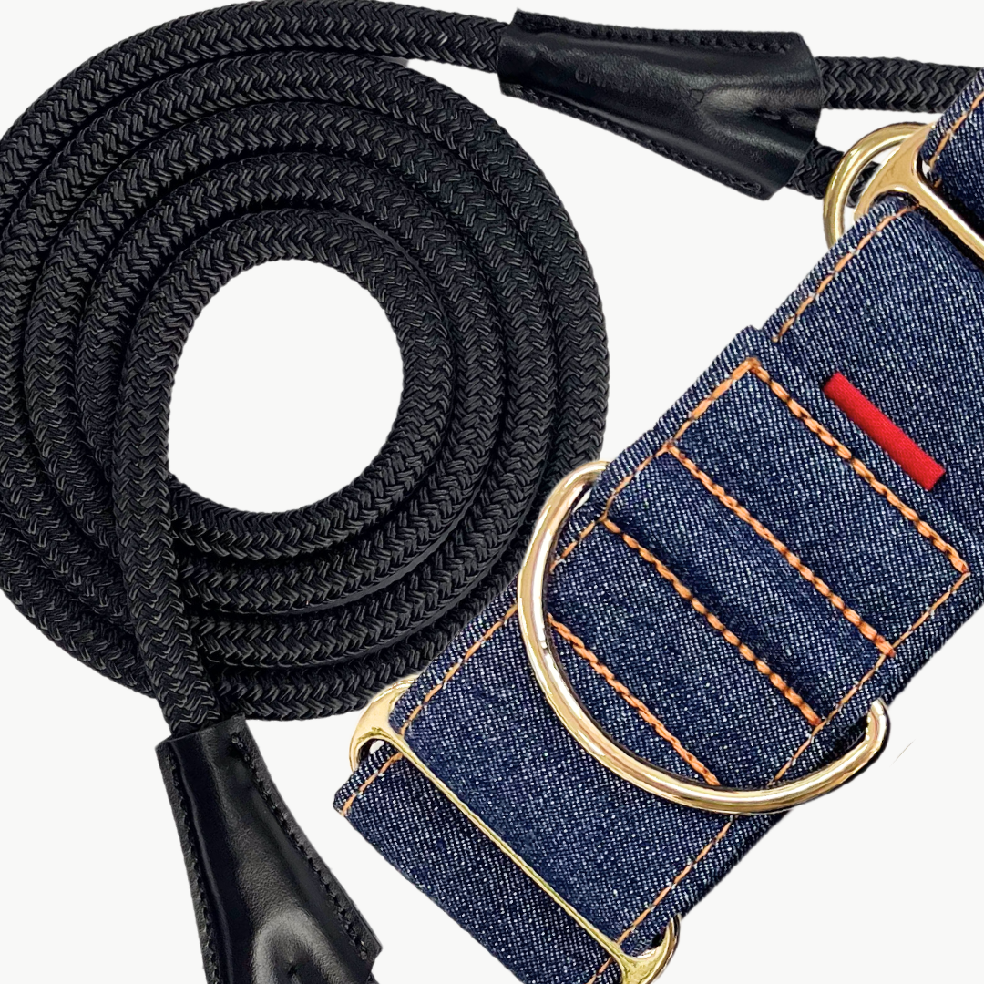 DENIM MARTINGALE COLLAR BUNDLE