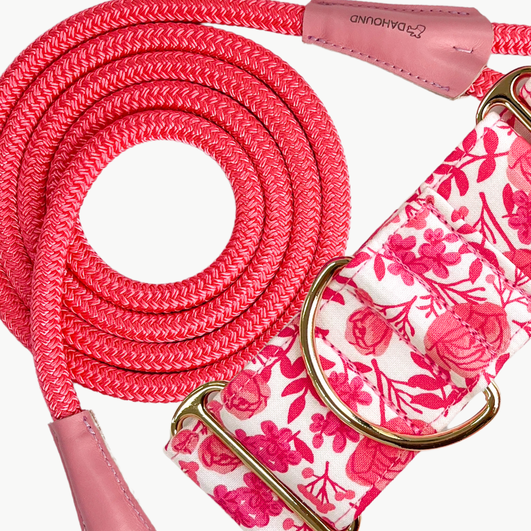 FLORAL MARTINGALE COLLAR BUNDLE