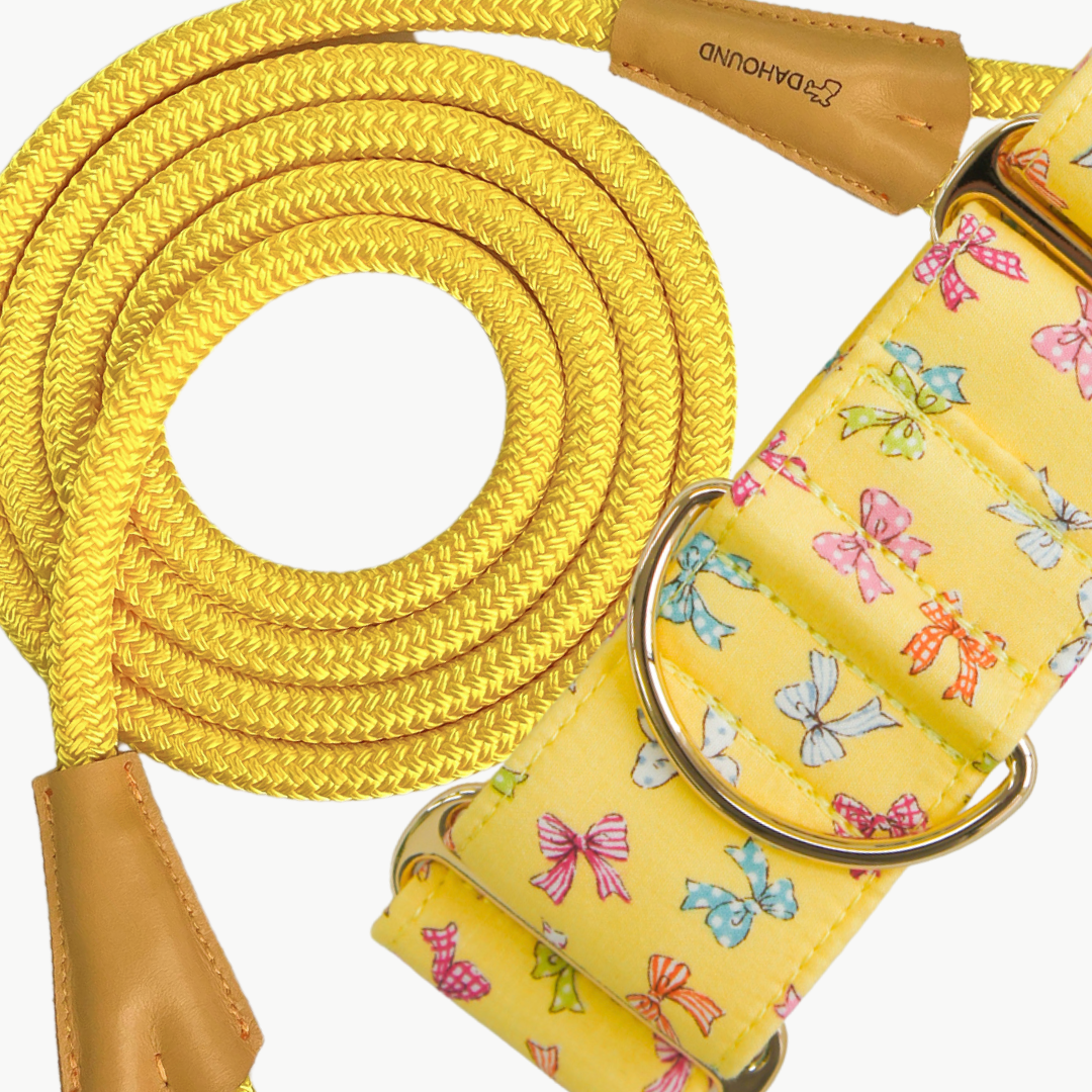 OTHER MARTINGALE COLLAR BUNDLE