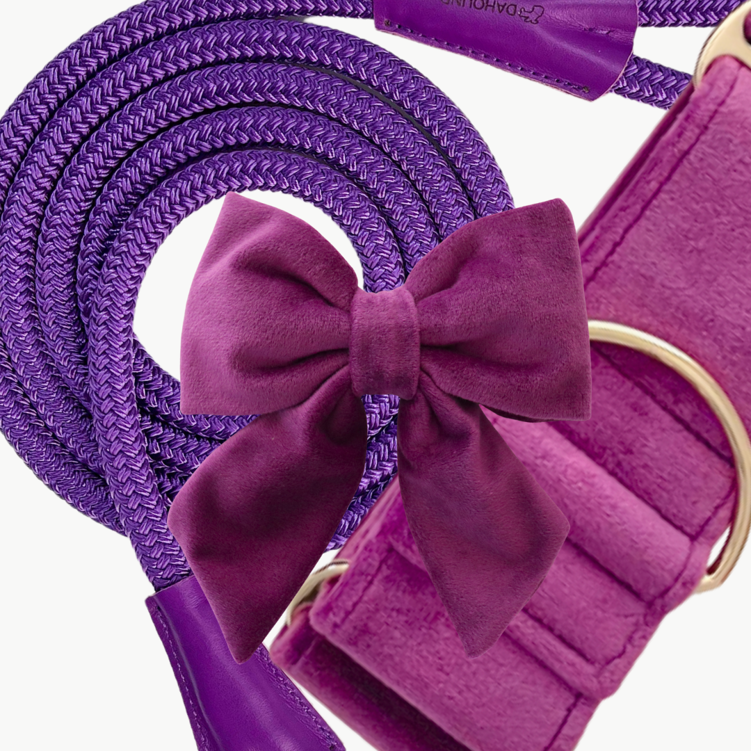 VELVET MARTINGALE COLLAR BUNDLE