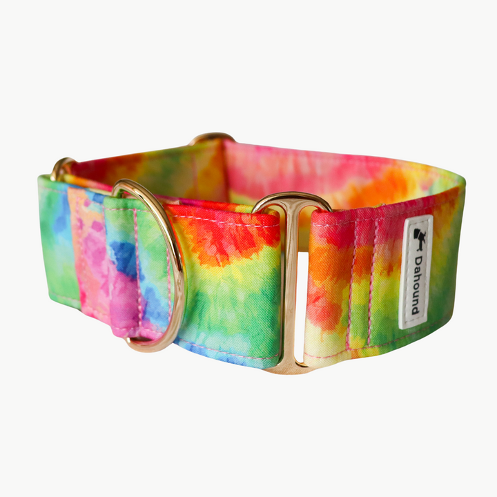 Wide Fabric Martingale Dog Collar | Rainbow Paddle Pop