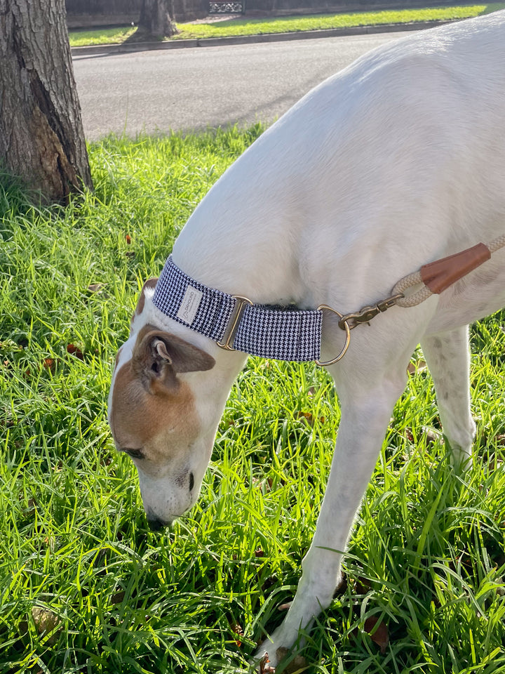 Wide Martingale Collar | Classic Houndstooth (Textured Weave)