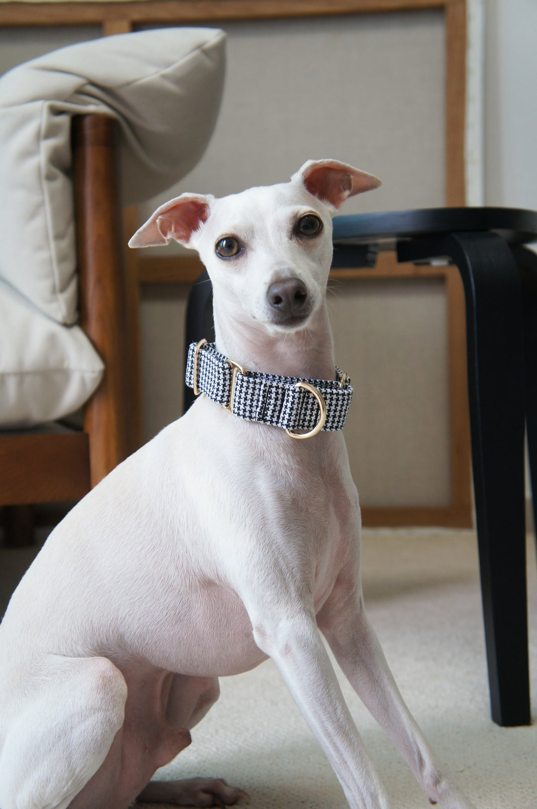 Wide Martingale Collar | Classic Houndstooth (Textured Weave)