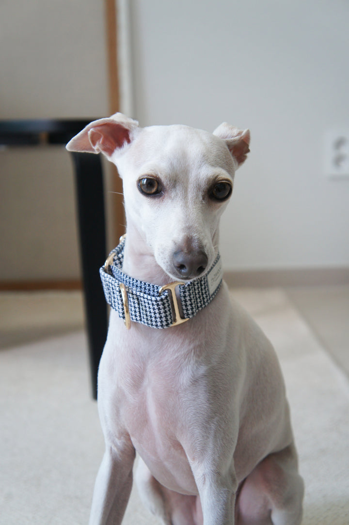Wide Martingale Collar | Classic Houndstooth (Textured Weave)