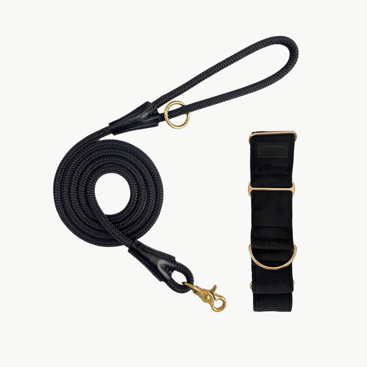 Martingale Collar & Rope Lead Set | Black (Plush Velvet)