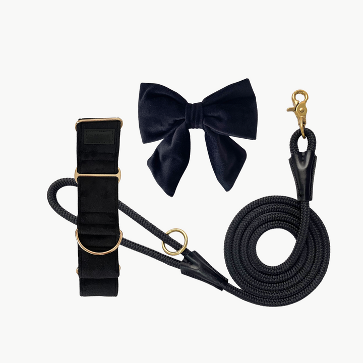 Martingale Collar + Sailor Bow + Rope Lead Set | Black (Plush Velvet)