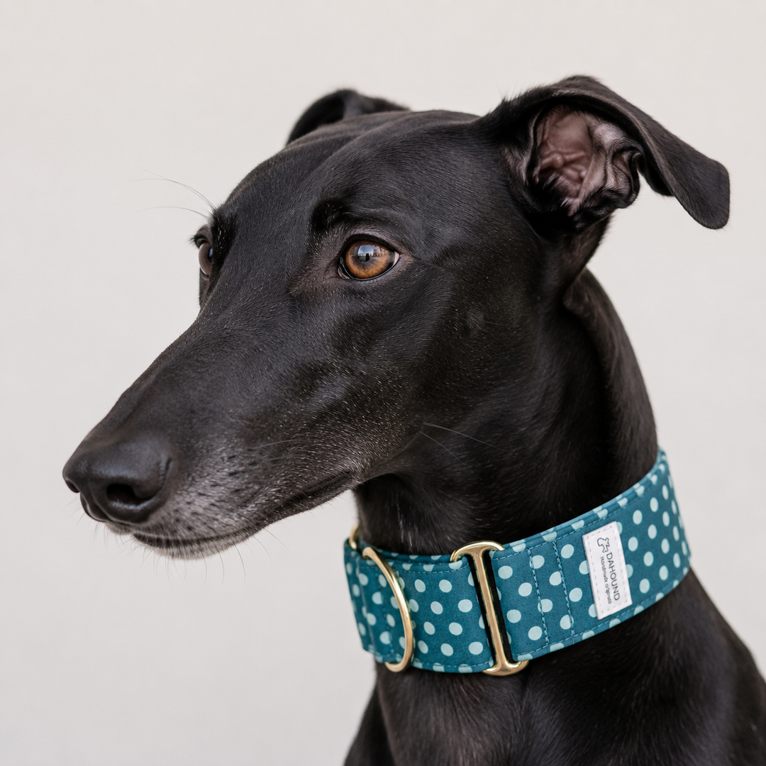 Wide Martingale Collar | Blueberry Polka Dot (Soft Cotton)