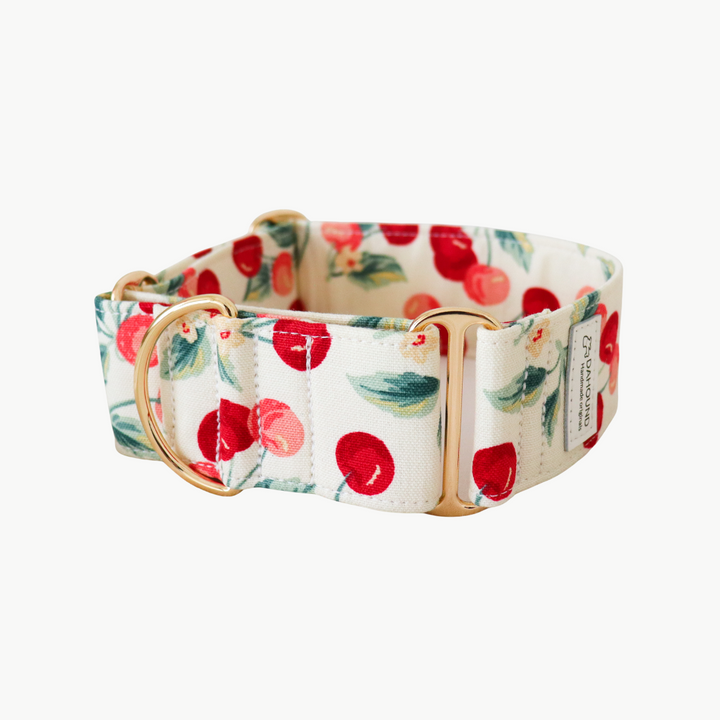 Wide Martingale Collar | Cherry (Sturdy Oxford Cotton)
