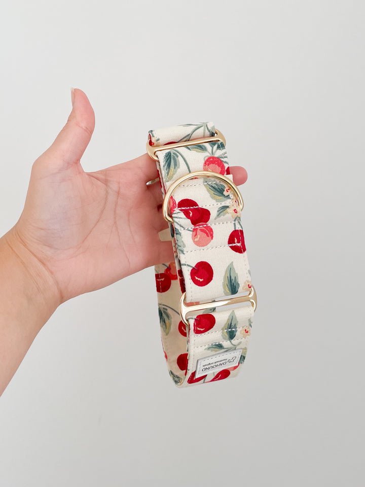 Wide Martingale Collar | Cherry (Sturdy Oxford Cotton)
