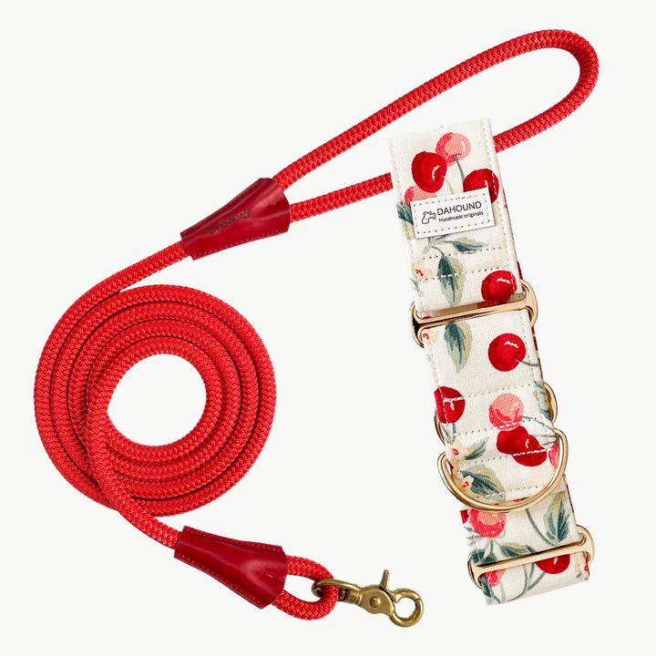 Martingale Collar + Rope Lead Set | Cherry (Sturdy Oxford Cotton)