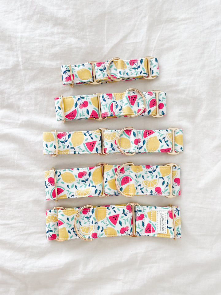 Dahound Creamy Fruit Salad Greyhound Collar Sizing