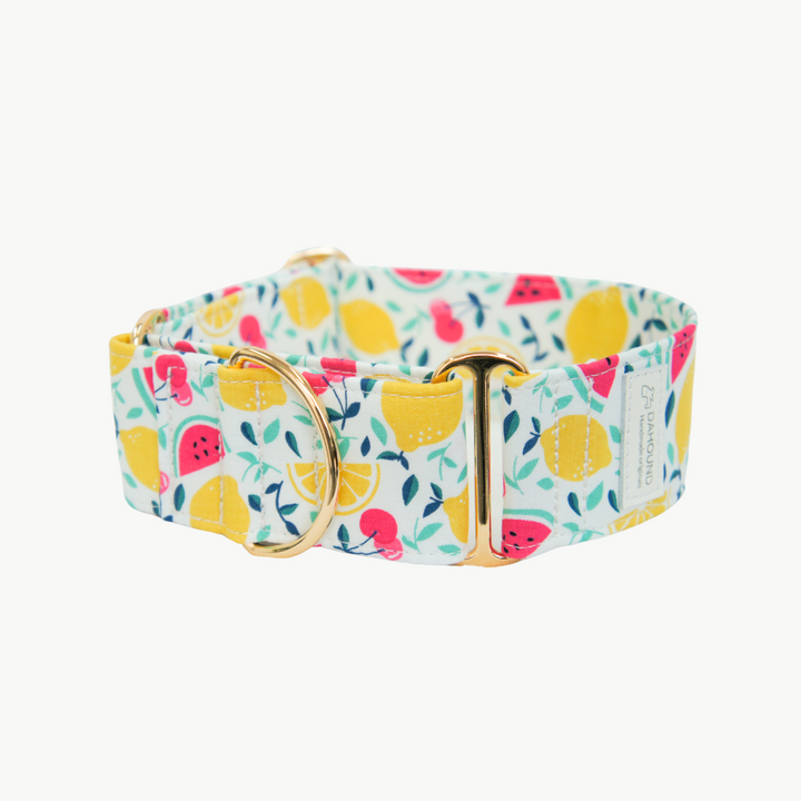 Dahound Creamy Fruit Salad Martingale Collar Product Photo