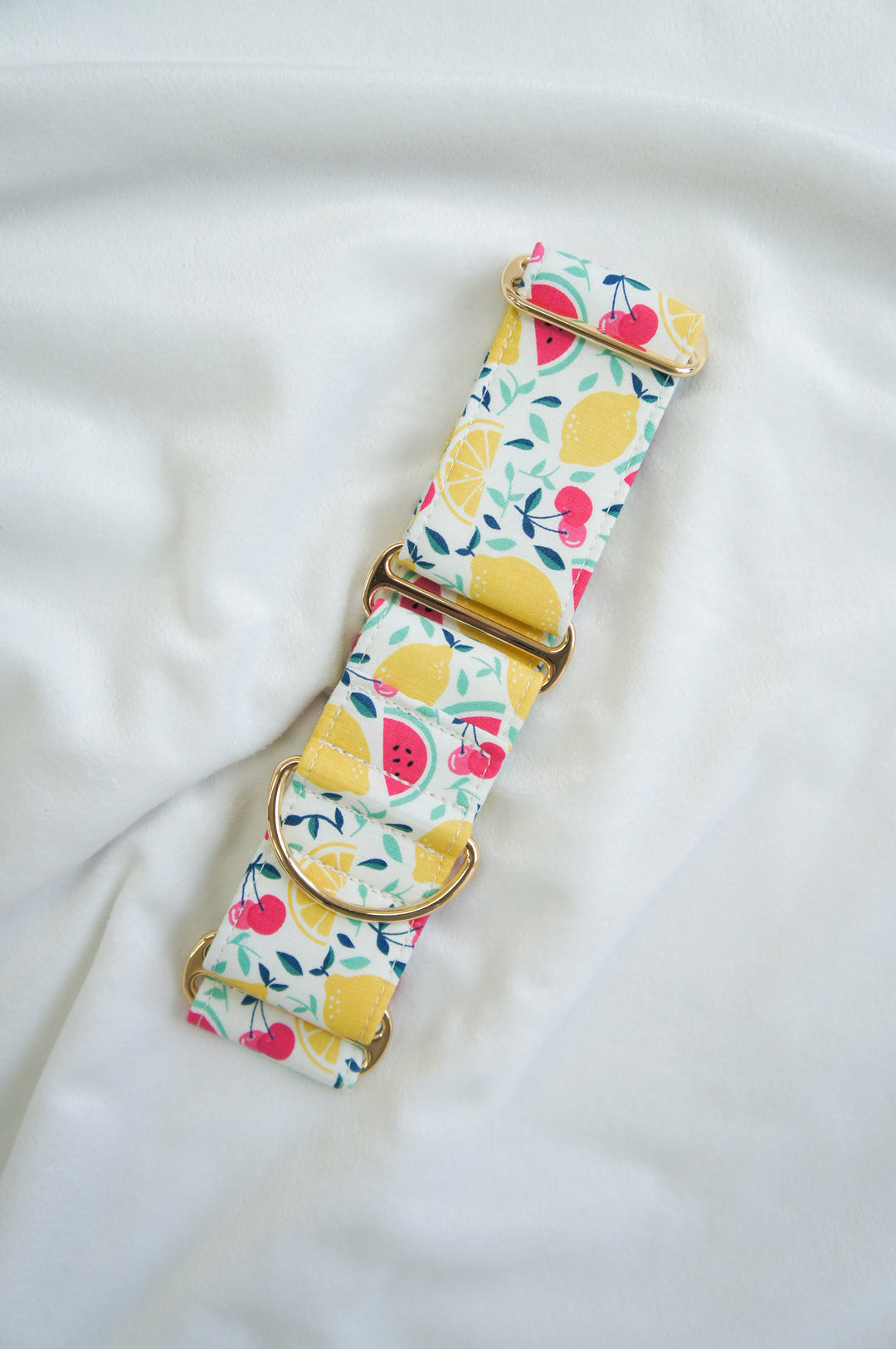 Dahound Creamy Fruit Salad Martingale Collar Product Photo