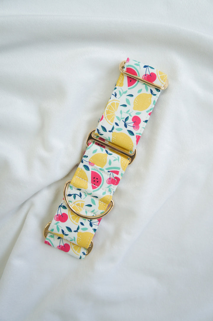 Dahound Creamy Fruit Salad Martingale Collar Product Photo