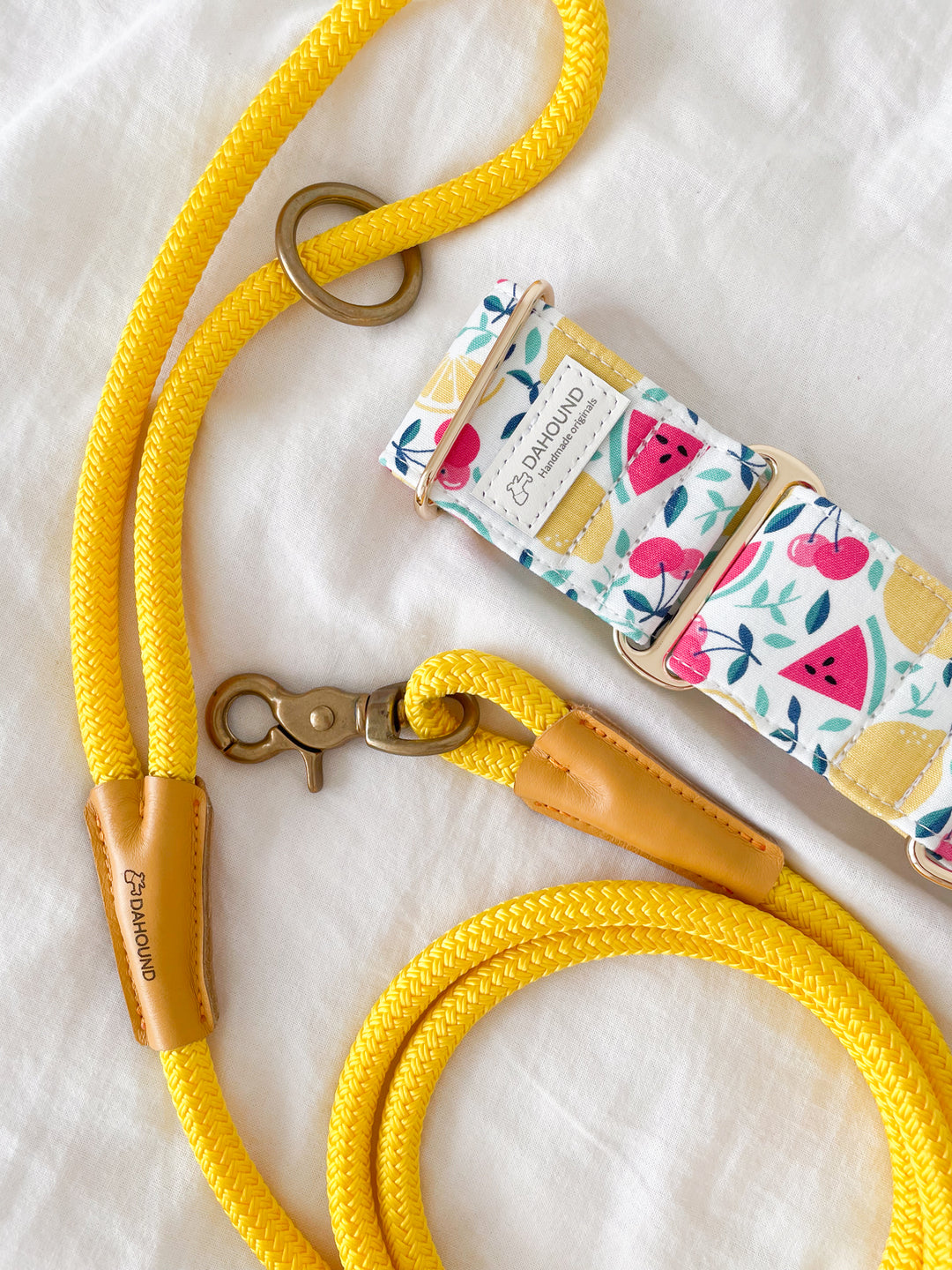 Dahound Creamy Fruit Salad Martingale Collar With Rope Leash Lifestyle Photo