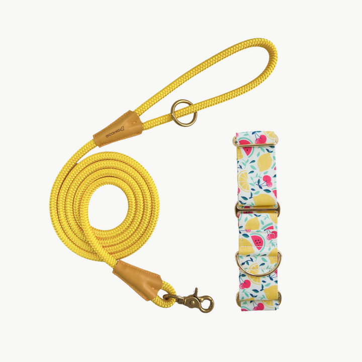 Martingale Collar & Rope Lead Set | Creamy Fruit Salad
