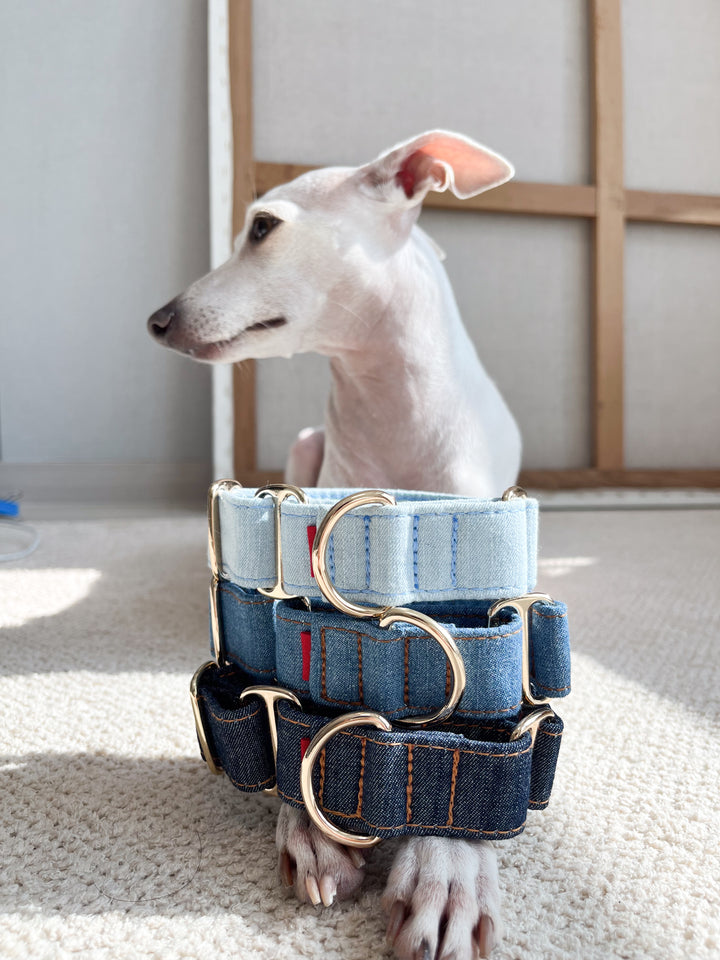 Wide Martingale Collar | Dark Indigo (Classic Denim)