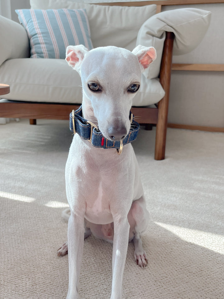 Wide Martingale Collar | Dark Indigo (Classic Denim)