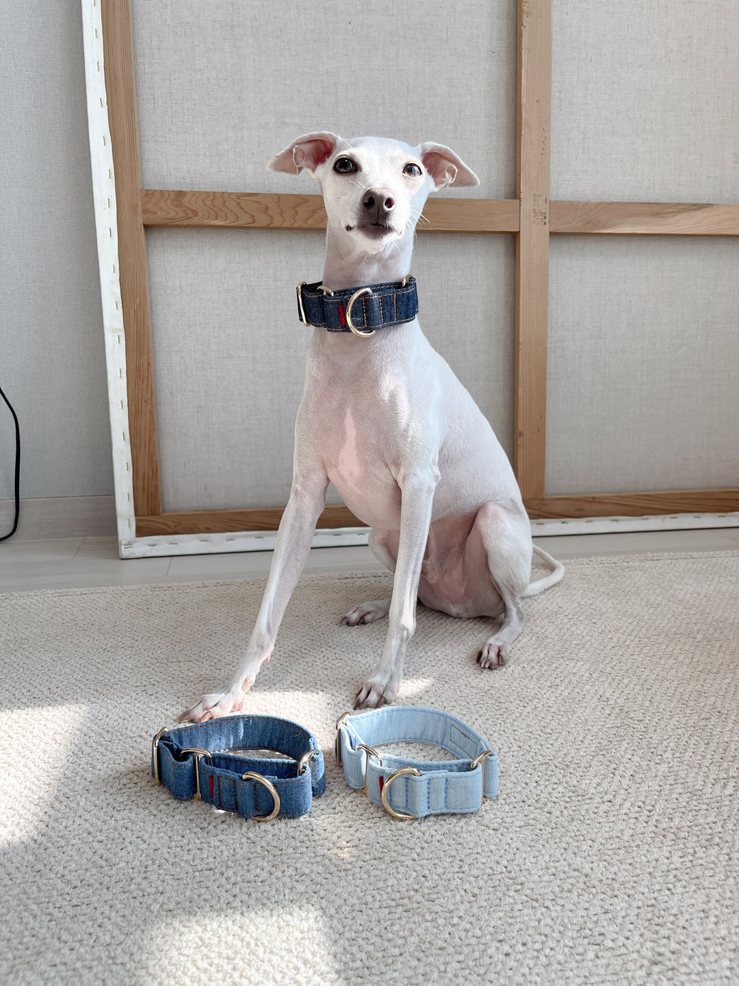 Martingale Collar & Rope Lead Set | Dark Indigo Denim (with Beige Leash)