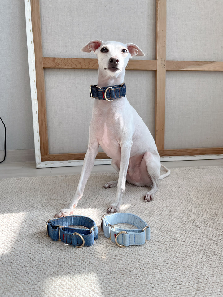 Martingale Collar & Rope Lead Set | Dark Indigo Denim (with Beige Leash)
