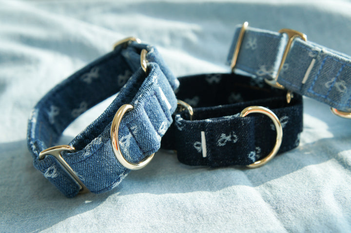 Dahound Denim Bow Martingale Collars Lifestyle Product Photo From Front