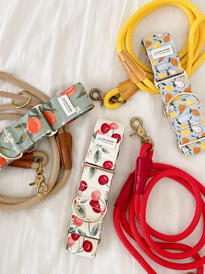 Martingale Collar + Rope Lead Set | Cherry (Sturdy Oxford Cotton)
