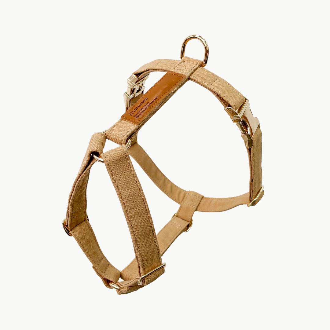 Signature Strap Style Dog H Harness | Beige