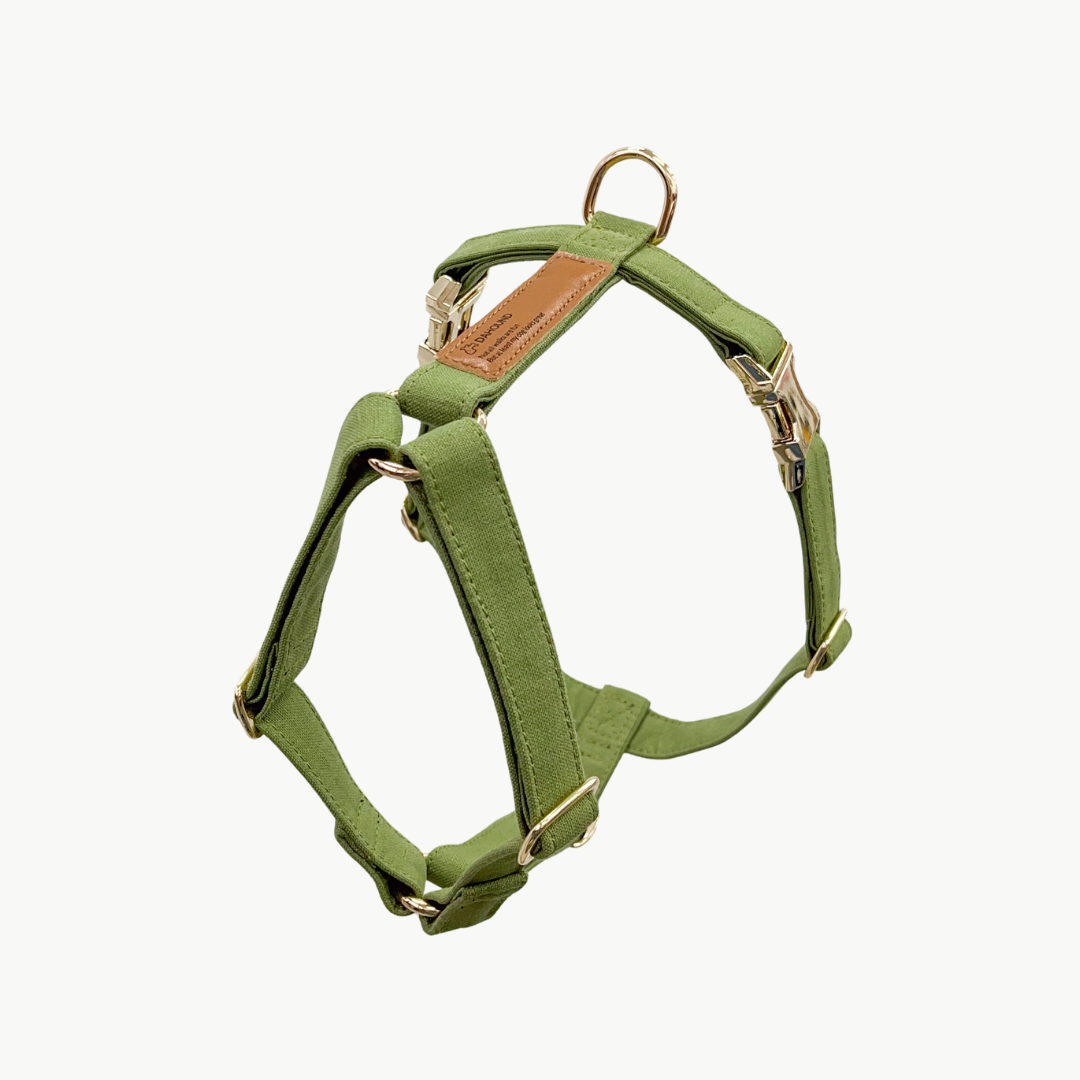 Signature Strap Style Dog H Harness | Olive Green