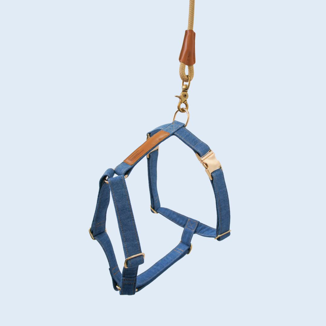 Signature Strap Style Dog H Harness | Mid Blue Denim [COMING SOON]