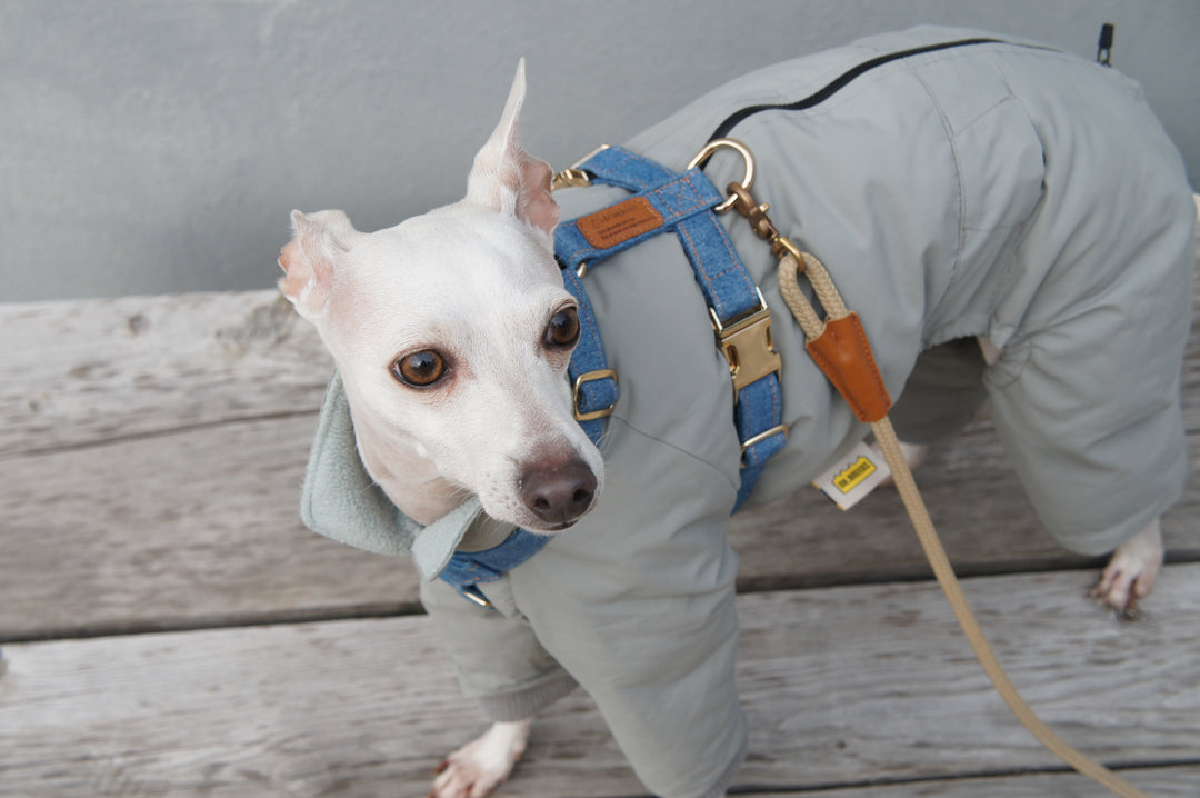 Signature Strap Style Dog H Harness | Mid Blue Denim [COMING SOON]