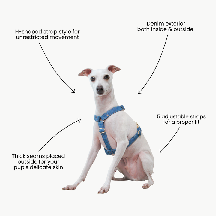 Signature Strap Style Dog H Harness | Mid Blue Denim [COMING SOON]