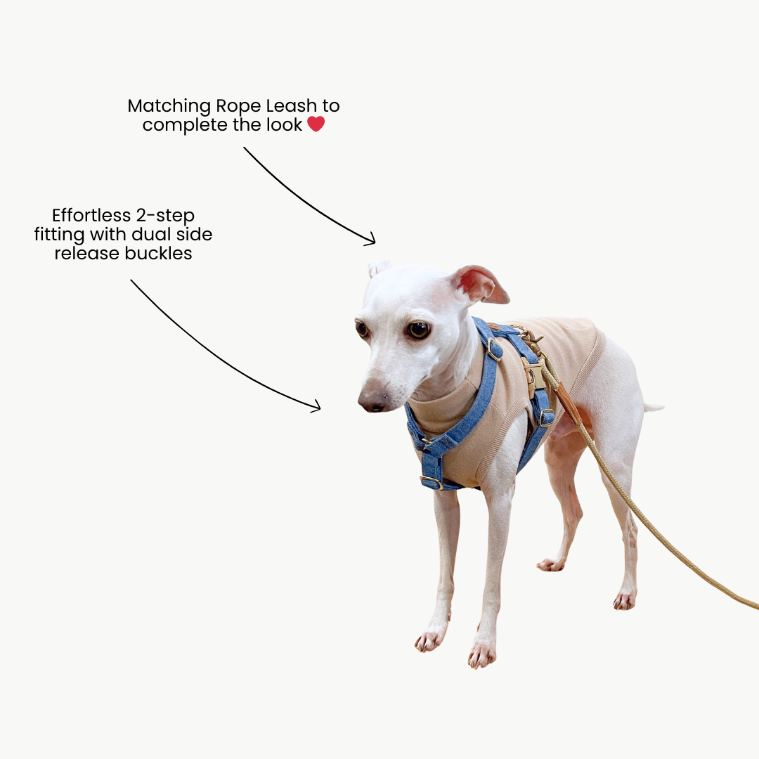 Signature Strap Style Dog H Harness | Mid Blue Denim [COMING SOON]