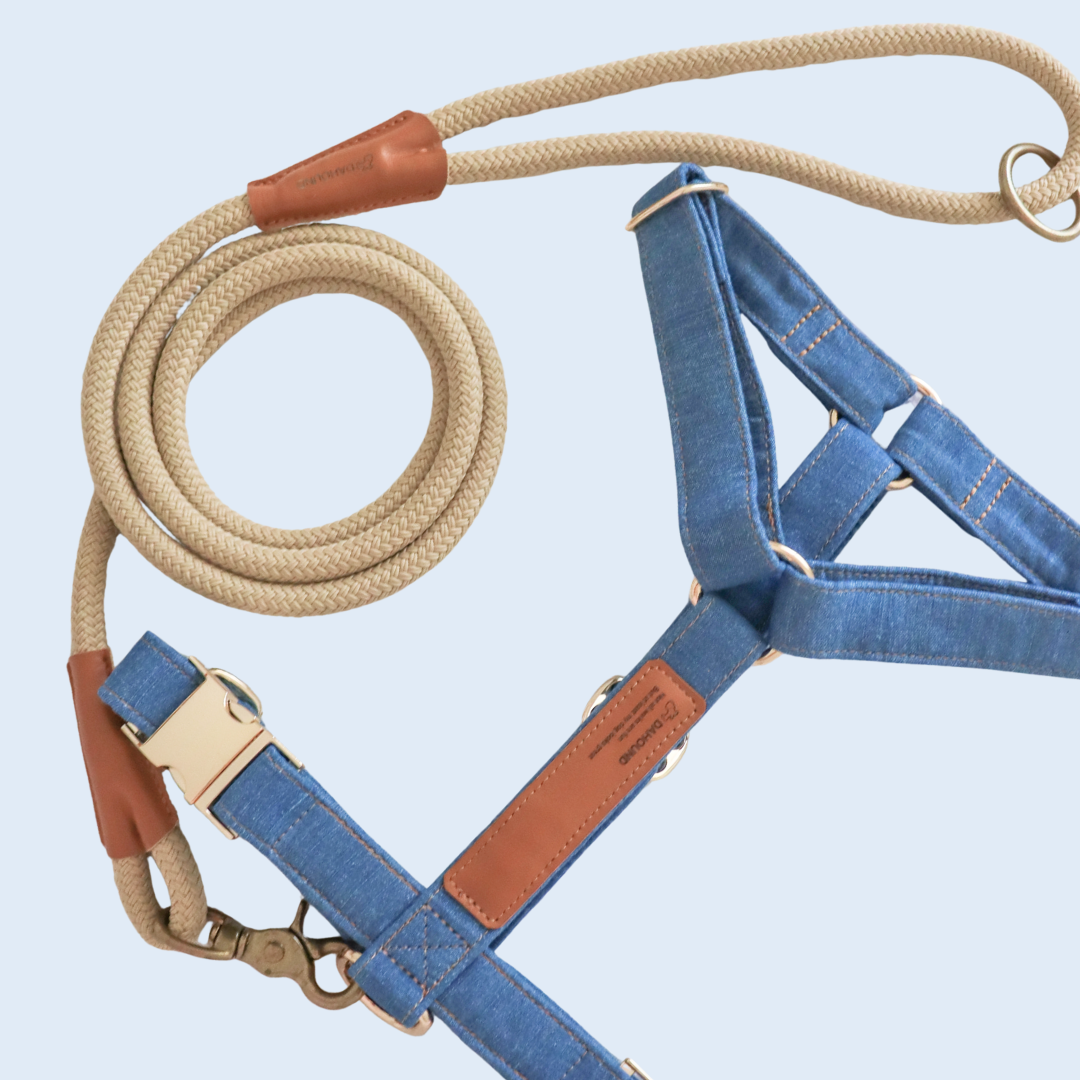 Signature Harness & Rope Lead Set | Mid Blue Denim [COMING SOON]