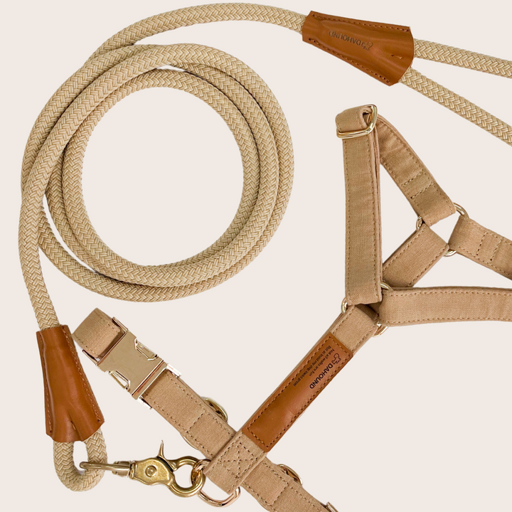 Signature Harness & Rope Lead Set | Beige