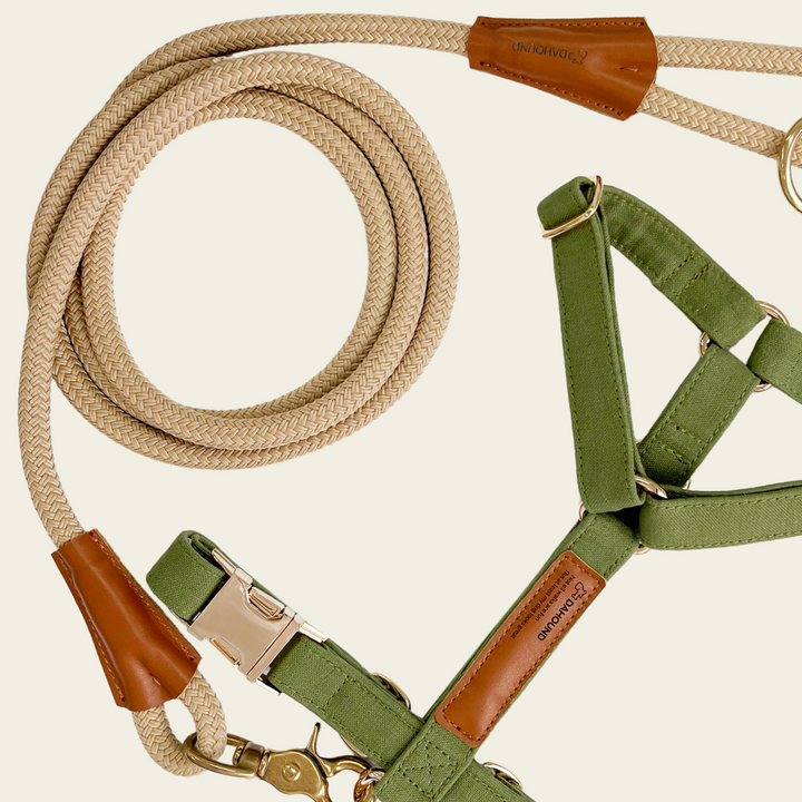 Signature Harness & Rope Lead Set | Olive Green