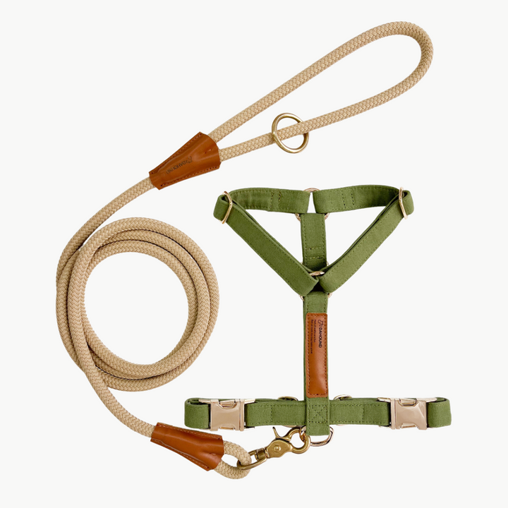 Signature Harness & Rope Lead Set | Olive Green