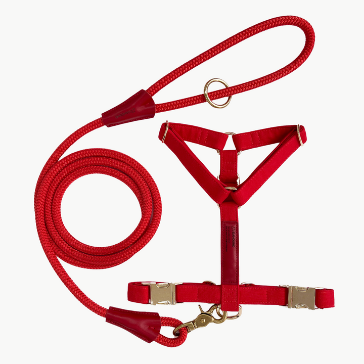Signature Harness & Rope Lead Set | Red